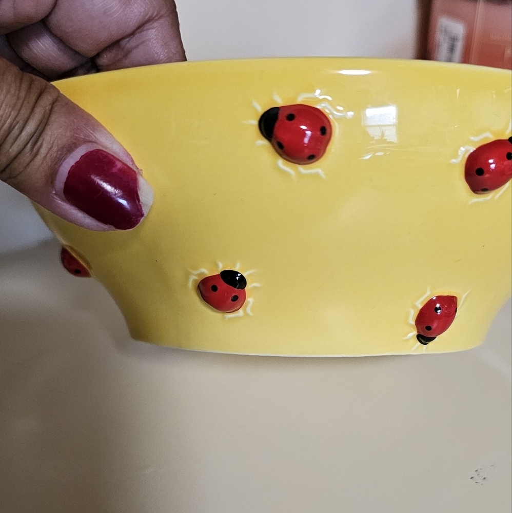 Department 56 Hand painted Lady Bug Bowl And Mug Set- New - Picture 9 of 10